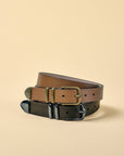 Bellamy Belt Tan