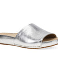 Primary image of Twyla Pewter Metallic