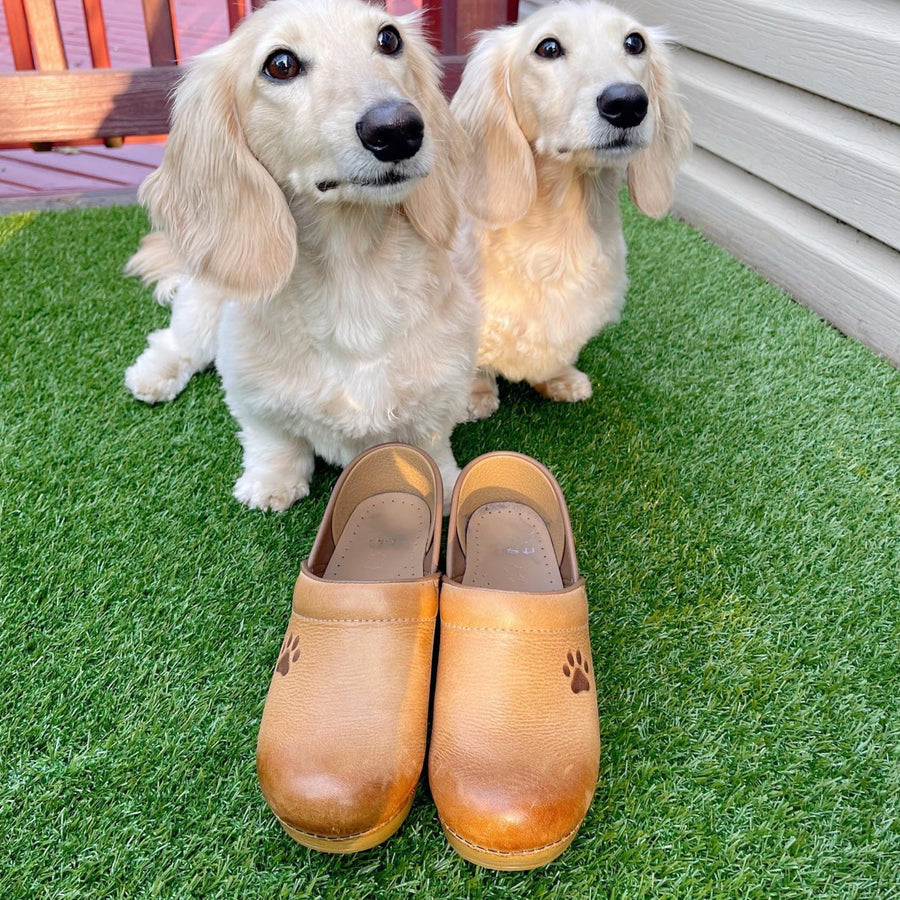 Honey Distressed Clogs personalized with dog paws.
