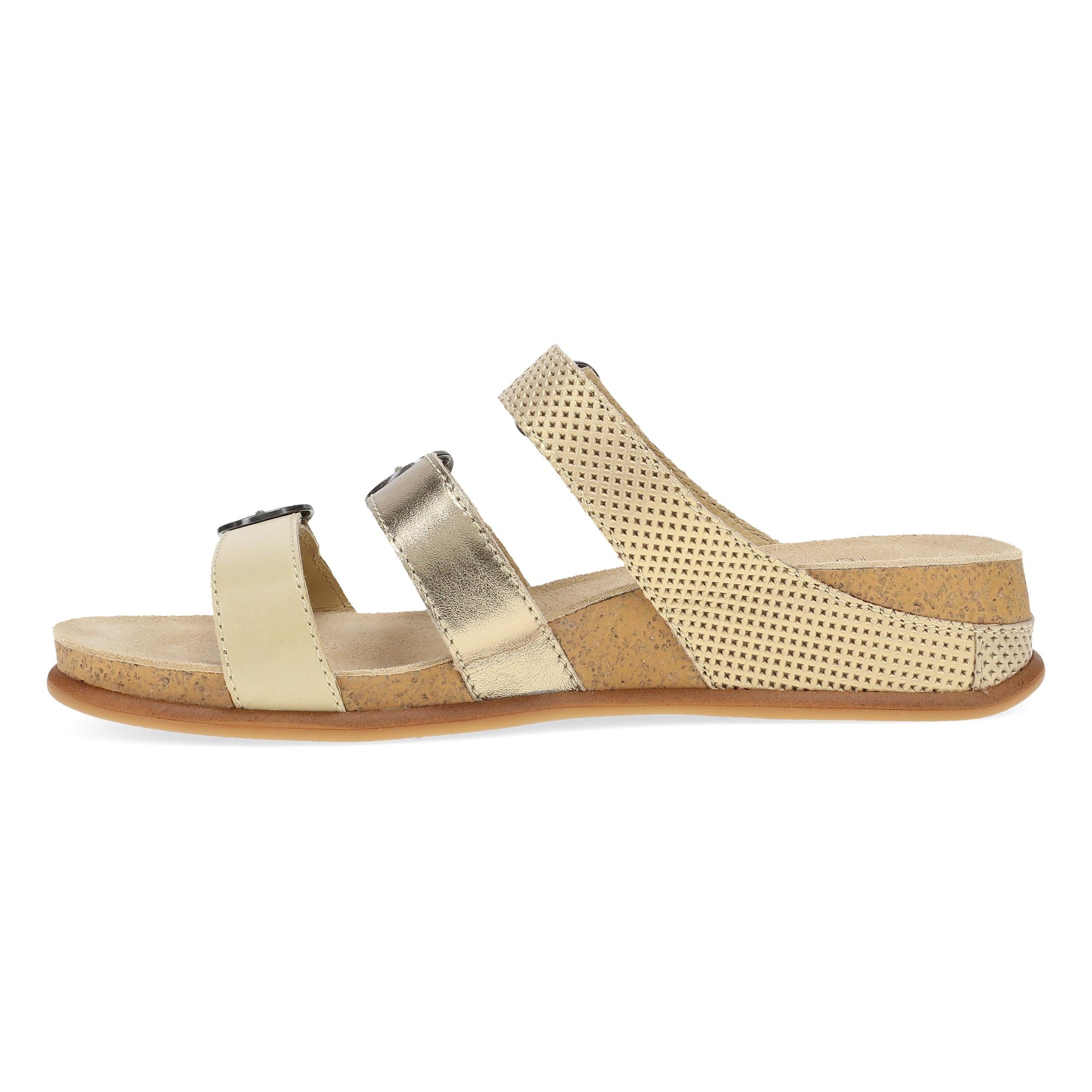 Side image of Campbell Gold Multi