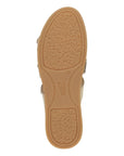 Bottom image of Campbell Gold Multi