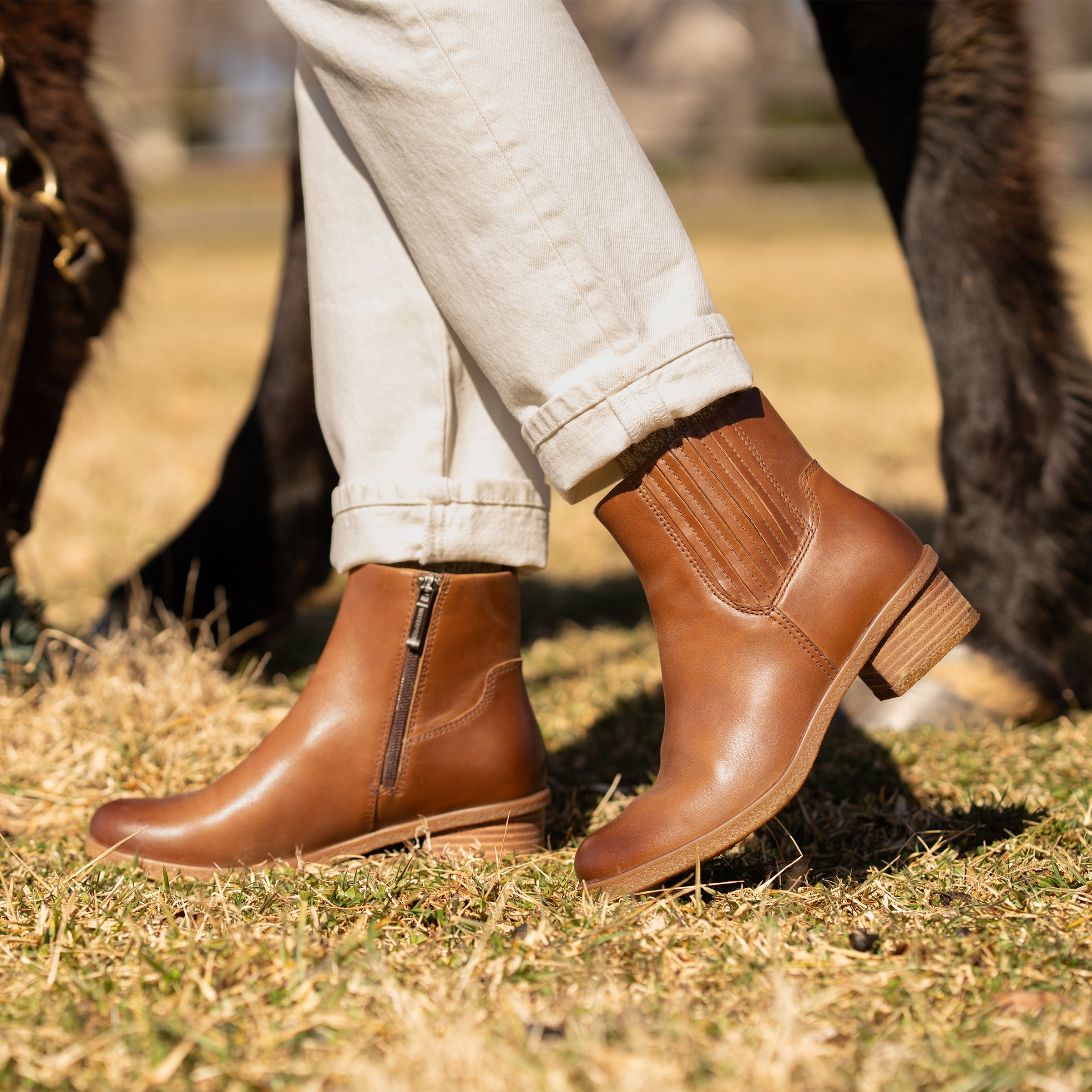 Dansko brown booties hotsell