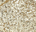 Gold Glitter