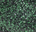 Elixir Glitter