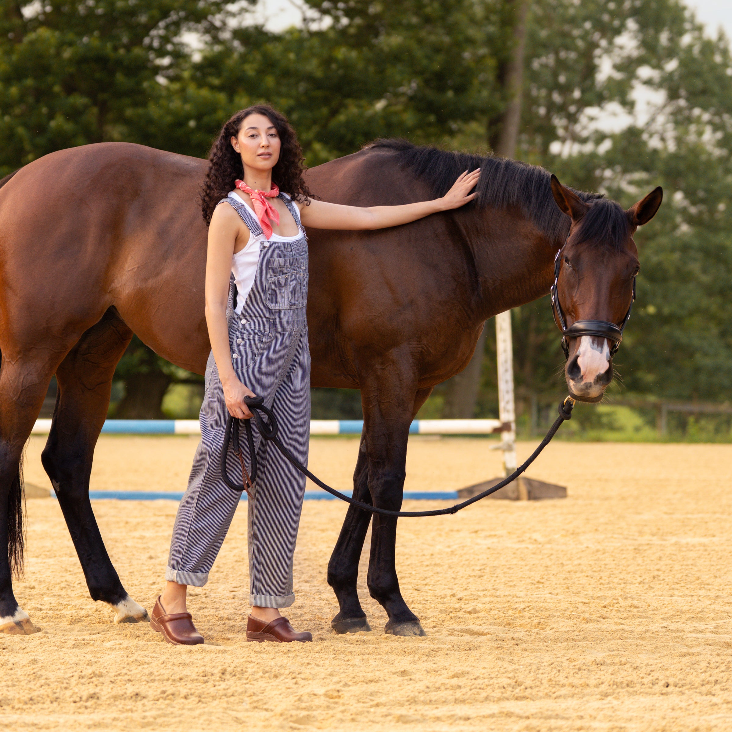 Professional Saddle Full Grain – Dansko